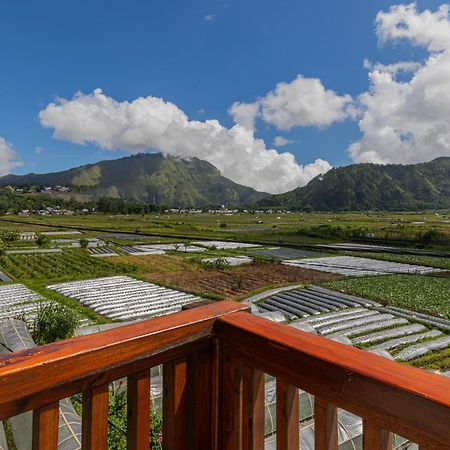 Teras Sawah Guest House Syariah Сембалун Лаванг Екстер'єр фото
